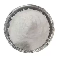 柠檬水专用柠檬伴侣柠檬粉粉冲饮奶茶原料替代果蜜1000克
