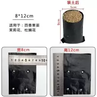 农用育苗袋果苗树苗专用营养包番石榴石香果柠檬苗培育营养钵 8*12cm200个