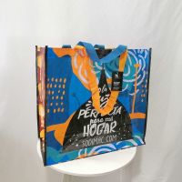 外贸原单尾货大容量防水编织超市购物袋衣物收纳袋环保袋