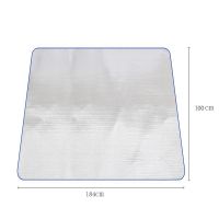 防潮垫户外垫子加厚野餐垫露营野营帐篷垫双面铝膜垫坐垫沙滩垫 单人防潮垫(184*100cm)