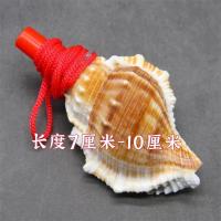 童趣海螺哨子·螺听海声·天然海螺制成· 海螺一个