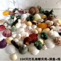 100只天然打孔穿孔海螺贝壳 100只打孔海螺贝壳+顶盖+线