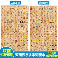 汉字多米诺骨牌100片早教认知积木儿童益智玩具3-4-5-6岁男女孩 双面汉字100片+收纳袋
