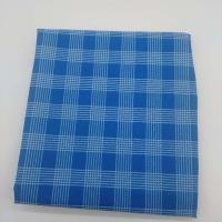 野餐垫春游防潮垫野餐布户外便携防水草野炊地垫子郊游加厚ins风 竖条蓝格 简约折叠款 无手提 150*80cm(可坐2人