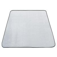 宿舍防潮垫户外野餐垫家用床上打地铺地垫野外野营帐篷垫隔凉防水 [普通款]-双面铝膜-厚度2.5mm 2m*0.9m-无收