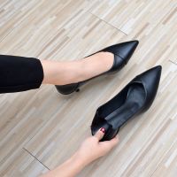 百搭真皮尖头高跟鞋细跟2021年新款职业鞋子女黑色空乘工作鞋软底 黑色[跟高3厘米] 34