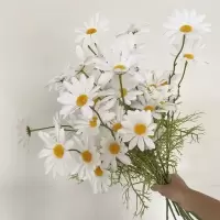 ins小雏菊五头荷兰菊绢花干花室内客厅房间装饰拍照道具摆件插花 一支白色雏菊