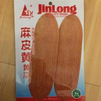 麻皮老黄瓜种籽东北老黄瓜种子瓜果蔬菜粗壮麻纹果实可煲汤炝拌菜 金龙麻皮黄瓜5克[原装买二送一