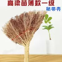 扫把高粱苗家用工厂学校客厅耐用庭院笤帚凤尾龙须草芒草扫帚 高粱苗普通款一把 拍二发三