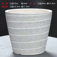 [破损包赔]陶瓷花盆简约绿萝植物桌面彩色透气带塑料托盘 白线圈(送塑料托盘) 中号