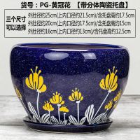 大花盆陶瓷孔雀蓝阳台花盆特大号兰花盆多肉花盆瓷盆底盘大码花钵 PG-黄冠花 外肚径[约15-17cm]