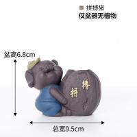 花木之窗猪宝系列创意绿植小盆栽室内茶几小摆件水培易养植物盆景 拼搏猪(仅盆器无植物) 成品发货