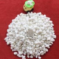 精品鹅卵石雨花石原石高抛光五彩石头装饰铺地鱼缸园艺盆景 5斤装 小白石子0.5-0.8cm[5斤装]