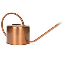 园艺长嘴浇花水壶洒水壶神器大容量家用多肉盆栽不锈钢淋花喷壶子 1L 红铜 39X13.2X19.6CM