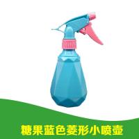 小喷壶种花喷雾器小型家用清洁厨房喷水壶糖果色浇花洒水壶组合 糖果蓝色小喷壶*1个