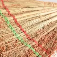 高粱扫把笤帚家用学校高粱苗清洁工具收纳方便扫地地板 普通款1把