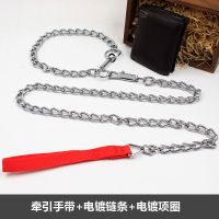 大型犬铁链子狗狗牵引绳防咬狗链子阿拉斯加德牧金毛罗威纳遛狗绳 直径2mm(6斤以内犬用) 总长1.2米+铁项圈