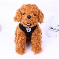 狗狗牵引绳狗链反光背心胸背带狗链子狗绳子遛狗绳小型犬泰迪用品 简单款[没有反光条不是粘扣] S-小型(适合3-5斤宠物)
