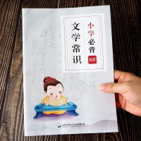 易蓓小学生语文易错字词知识大全练习册练习本专项训练注音版 小学必背文学常识练习册