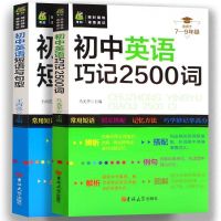 初中英语单词速记图像记忆法书七八九年级英语语法基础知识与考点 初中英语2册