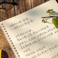 情书翩翩体字帖网易云热评书奶酪手写体女生清秀漂亮行楷细水流年 细水流年手写体 一本字帖[无临摹纸 无赠品]