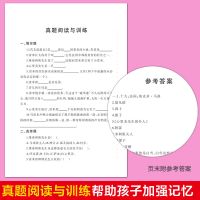 苦儿流浪记 青少年版名著四五年级中小学生课外阅读书籍儿童读物 苦儿流浪记