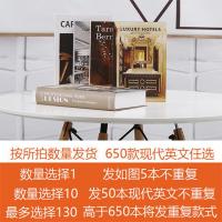 简约现代假书摆件仿真书道具书模型样板房店铺装饰品创意书柜书盒 现代英文5本