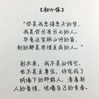 经典网易云音乐歌词歌曲评论热评字帖楷书行书行楷成人速成练字帖 初心体 套餐一:具体见详情页