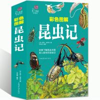 [加厚版阅读]时间简史彩图全解霍金赠昆虫记科学知识 昆虫记