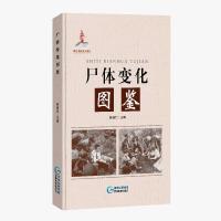 尸体变化图鉴 陈禄仕 法医学专业教材 法医看骨语读死亡尸体解剖【8月18日发完】 正版图书