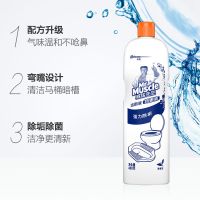 威猛先生清香洁厕液470g/瓶洁厕净 家用 洁厕灵厕所清洁除菌杀菌[8月10日发完] 洁厕液480g*1瓶[试用装]