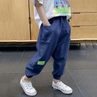 男童裤子夏季薄款2021新款儿童夏装宽松棉麻防蚊裤大中小童棉质潮莎丞