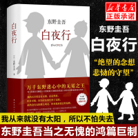 白夜行 东野圭吾著作品 精装典藏版推理小说无冕嫌疑人X解忧杂货店铺时生恶意日系侦探小说 恶意 幻夜 放学后 解忧杂货