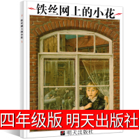 铁丝网上的小花四年级明天出版社正版英诺森提著代维译课外书小学生绘本 钢丝上的小花阅读书籍图画书儿童读物6-7-8-1