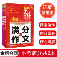 金榜题名优 最新小考满分作文大全 小学生优秀获奖分类作文辅导书 五六年级作文书优秀作文选 5-6年级考场作文素材 小升初