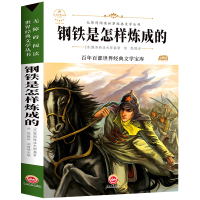 [晨晔网]钢铁是怎样炼成的正版青少年版无障碍阅读小学生课外书读物9-12-15岁儿童文学经典世界名著书籍书排行榜带训