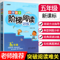五年级阶梯阅读专项训练小学语文5年级下册阅读理解每日一练练习题小学生人教版课外阅读强化人教同步下阅读题训练书