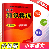 山西专用 语文知识集锦1~6年级适用小学语文知识集锦升级版小学各年级适用教辅快速提高语文成绩的得力助手小学语文教辅正版