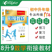 2021新人教版初中升年级衔接教材 八升九数学 初二升初三暑期衔接培优辅导 8升9中学初二暑假作业 下册专项训练数学辅导