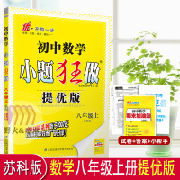 2022版恩波教育初中数学小题狂做提优版八年级上册苏科版 中学教辅8年级江苏版同步训练习册初二资料辅导书含试卷答案小帮手