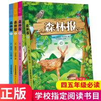 [学校指定]森林报春夏秋冬全集全四册 五年级课外书必读 全套上册8-10-12-15岁正版 小学生二年级四年级必看课外阅