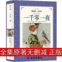 译林出版社 一千零一夜正版书籍原著全集五年级必读四年级小学少年版人民儿童故事书文学无删减全译本非英文1001夜童话书天方