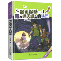 深山探秘小说1藏在通天峰上的秘密2020年江西暑假读一本好书小学课外阅读必读书目江西高校出版社社老师推荐小学生5五-6六