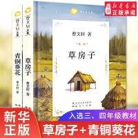 正版 草房子+青铜葵花经典 书籍 曹文轩系列儿童文学 曹文轩原版 6-8-10-12岁三四五六年级课外阅读书籍热