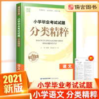 2021新版小学毕业考试试题分类精粹语文六年级上册下册 通城学典6年级小学毕业升学总复习真题详解小升初小考必备专项训练儒