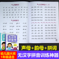 全拼音拼读训练阅读训练无汉字汉语拼音阅读教材互动练习幼小衔接小学一年级儿童快乐学拼音声母韵母整体认读训练幼儿园中大班练