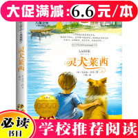 [5本33元]灵犬莱西 正版国际大奖儿童文学 8-12岁小学生课外阅读三四五六年级必读课外书籍书经典动物小说图书