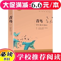 [5本33]青鸟书正版国际大奖儿童文学小学生课外阅读书籍9-12岁儿童读物世界经典童话故事书五年级三四年级必读课外书名家