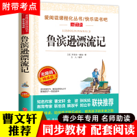 鲁滨逊漂流记 原著完整版 正版小学生六年级下册必读课外阅读书丹尼尔单本快乐读书吧 青少年版 天地出版社人教版鲁滨孙漂流记