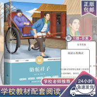 骆驼祥子原著正版老舍七年级下册初中生六年级小学生老师推荐语文课本配套必读书目人民文学名著图书籍完整原版福建教育出版社